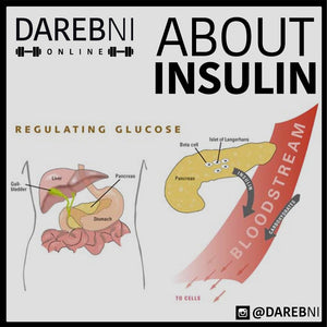 Insulin الأنسلين