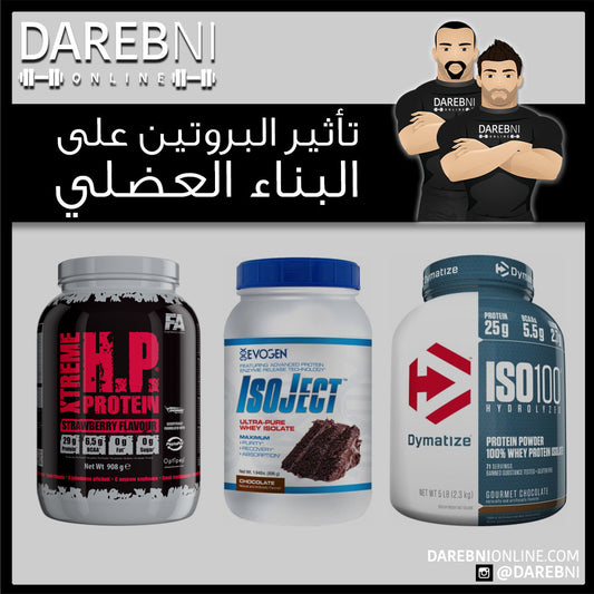 تأثير البروتين على البناء العضلي