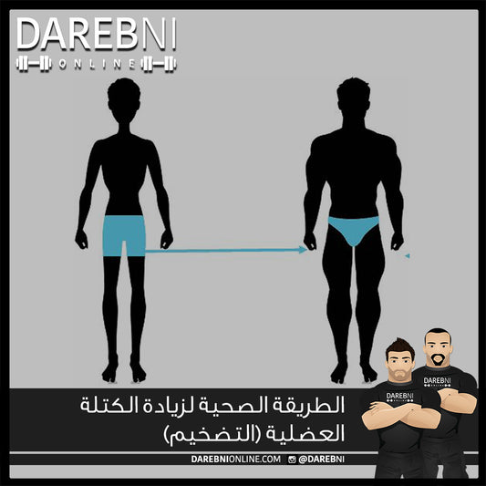 (الطريقة الصحية لزيادة الكتلة العضلية (التضخيم