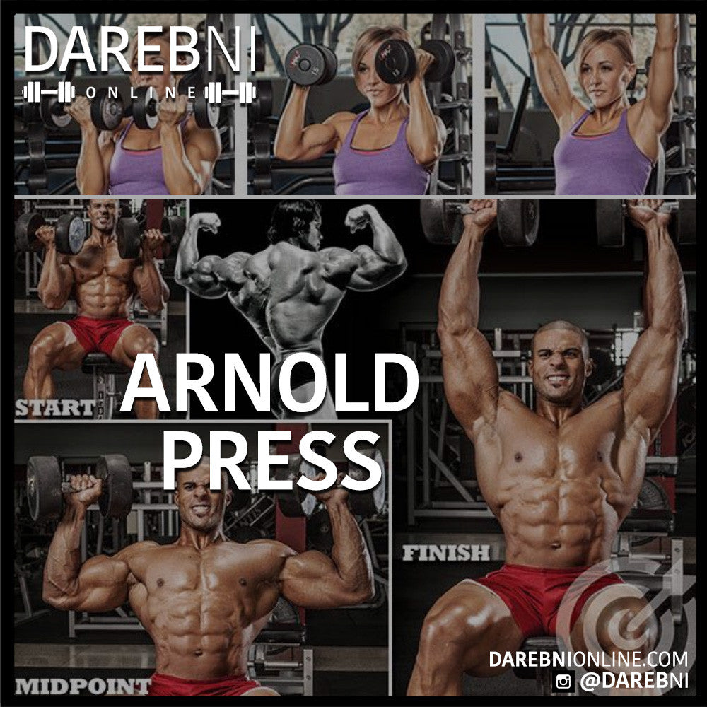 Arnold Press تمرين أرنولد بريس