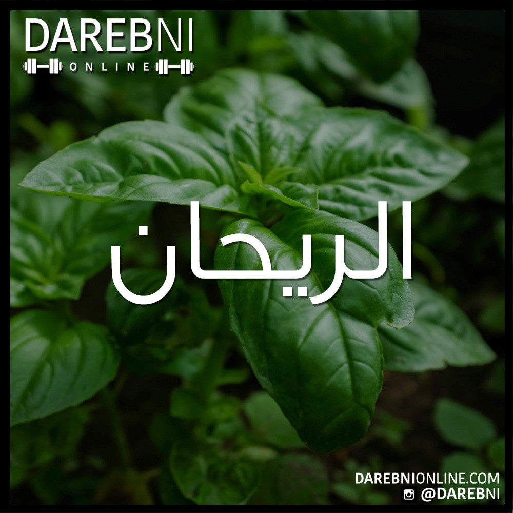 الريحان Basil