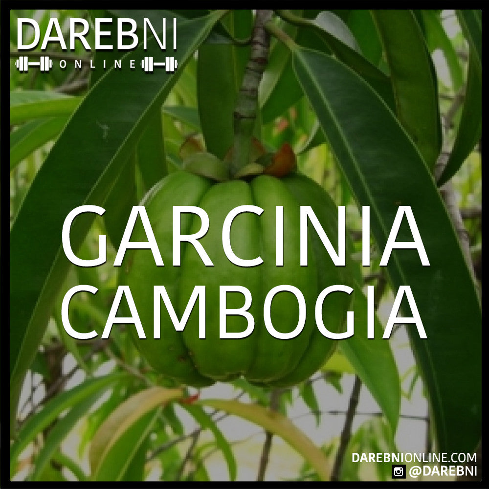 Garcinia Cambogia