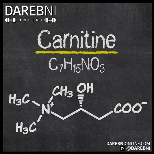 Carnitine الكارنتين