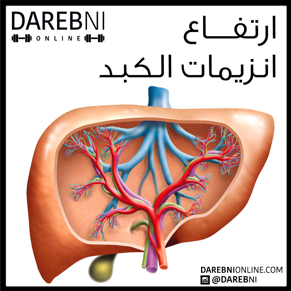 ارتفاع انزيمات الكبد