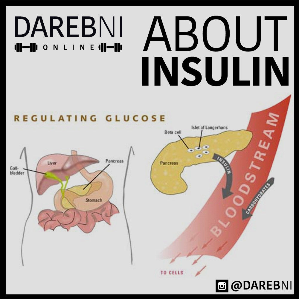 Insulin الأنسلين