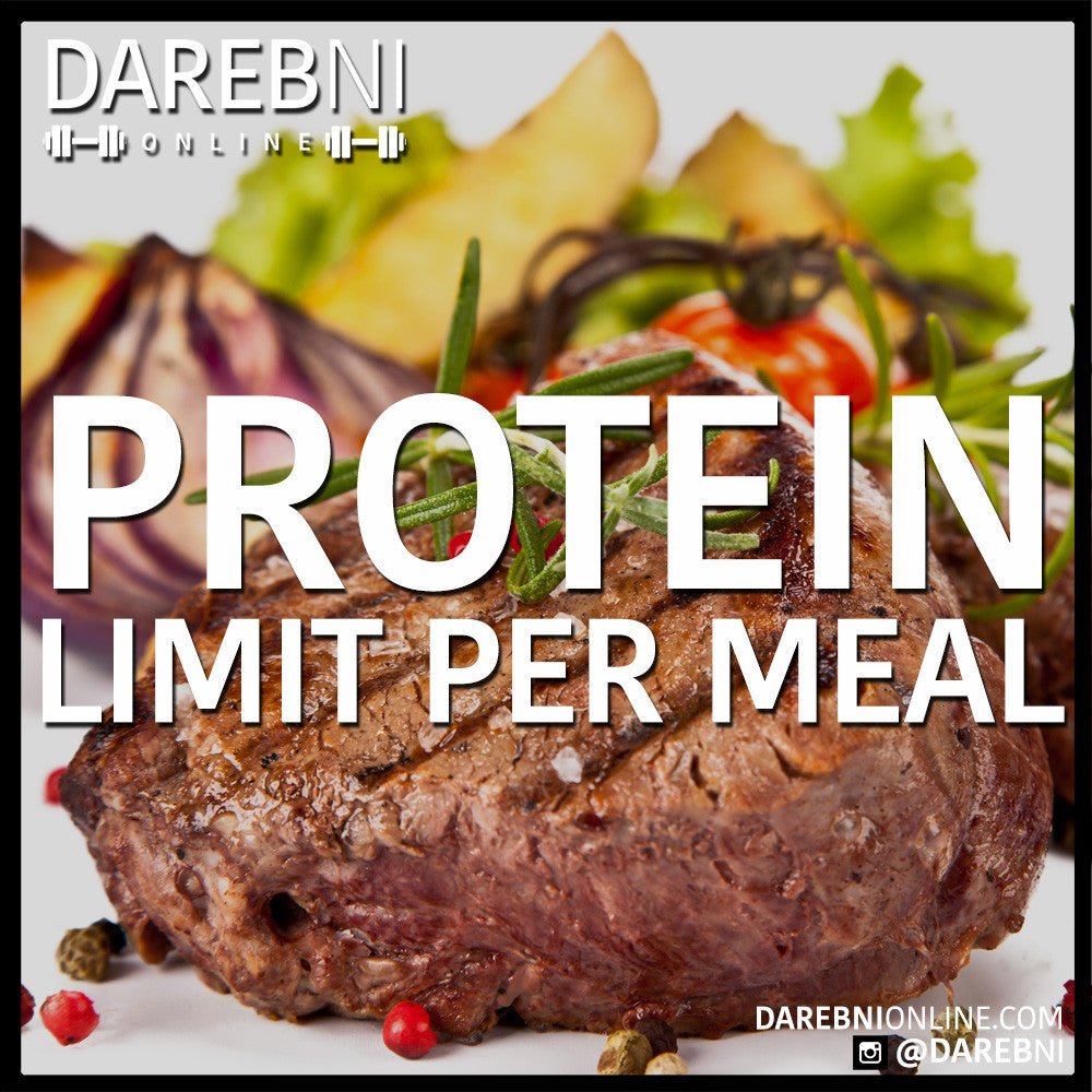Protein Limit Per Meal
