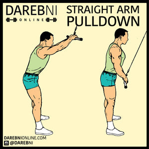 Straight Arm Pulldown