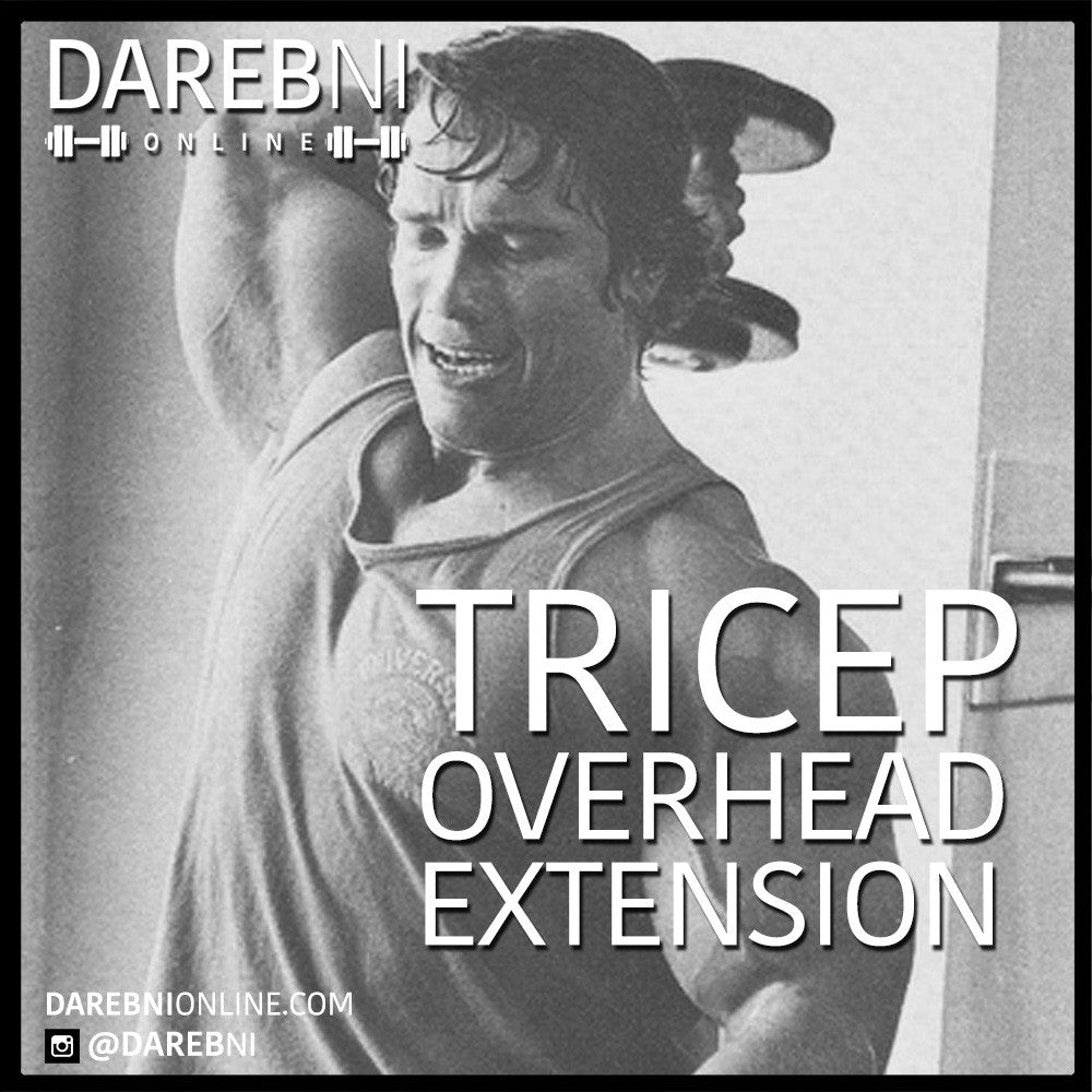 Triceps Overhead Extensions من تمارين الترايسبس